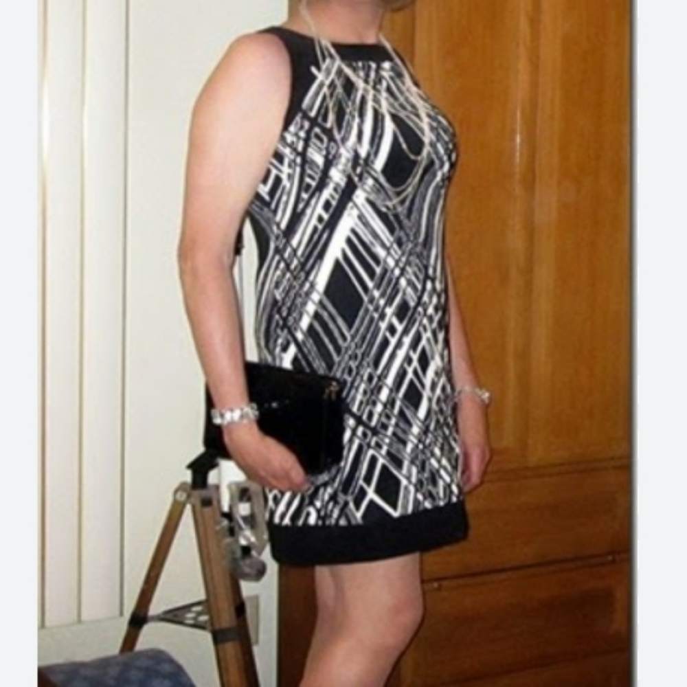 Alyx (Size 8) Black & White Business Office/Cocktail Casual Sheath Dress